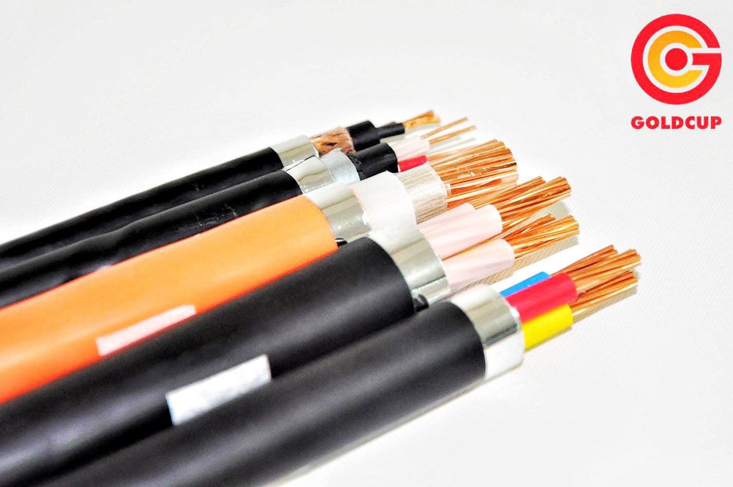 Dây cáp điện hạ thế 0.6/1kV Cu/XLPE/PVC 2x10mm2 - Goldcup